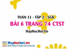 Bài 6 trang 74 Toán 11 tập 2 Chân trời sáng tạo